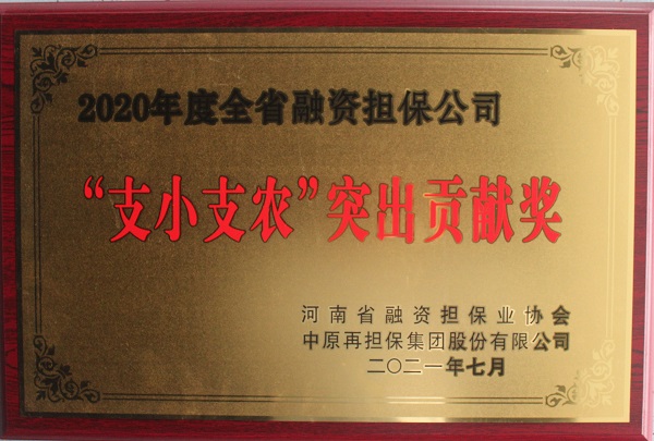支小支農(nóng)突出貢獻獎5.jpg